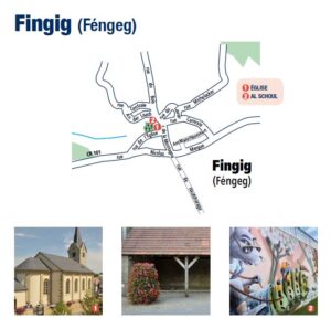 plan fingig