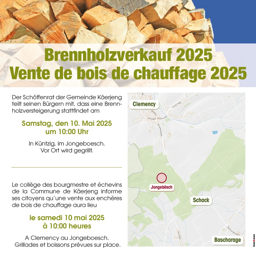 Holzstee 2025